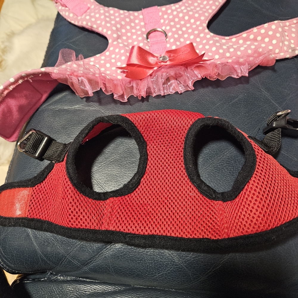 Pet Harness Set - Pink Polka Dot and Red Mesh